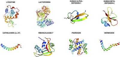 Host Defense Peptides at the Ocular Surface: Roles in Health and Major Diseases, and Therapeutic Potentials